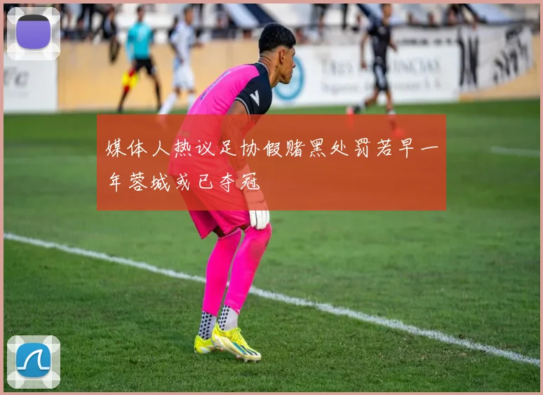 媒体人热议足协假赌黑处罚若早一年蓉城或已夺冠