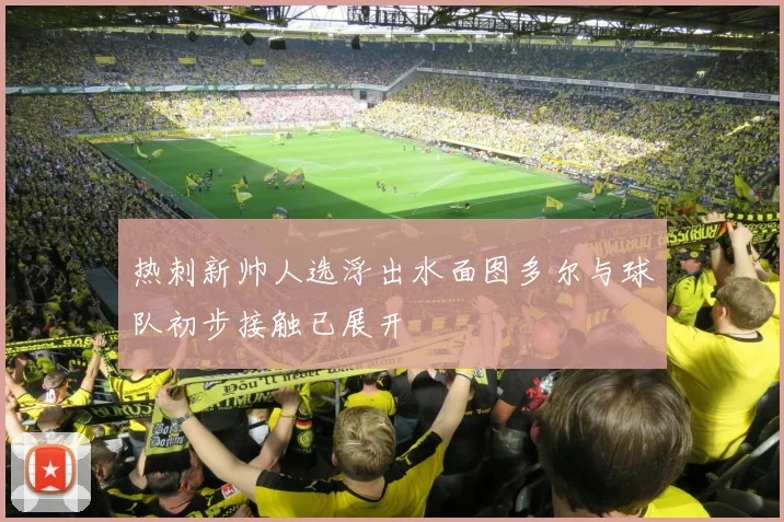 热刺新帅人选浮出水面图多尔与球队初步接触已展开