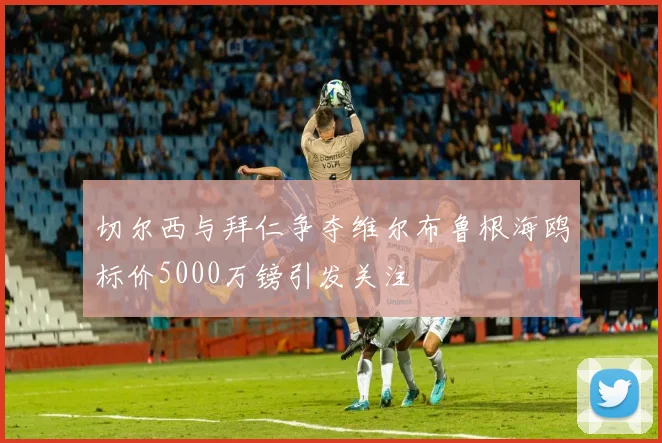 切尔西与拜仁争夺维尔布鲁根海鸥标价5000万镑引发关注